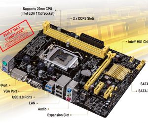 Mainboard SK 1150 ASUS H81 Box RENEW (VGA, DVI tùy lô, LAN 1000Mbps, 2 khe RAM DDR3, mATX)