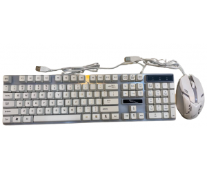 Combo Keyboard + Mouse G21B White LED USB Giả cơ 