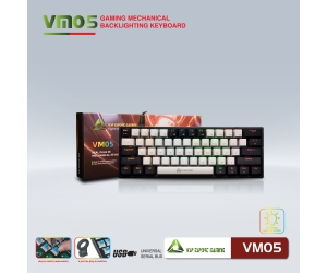 Keyboard VSP VM05 Black-Gray USB TKL Chính hãng (Phím cơ, Blue switch, 61 key, 22 chế độ LED)