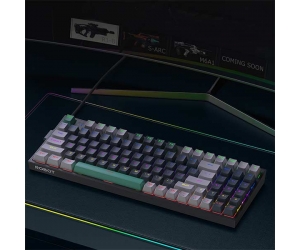 Keyboard ROBOT WORKMATE II Grey+White Chính hãng (Phím cơ, 94 key, Blue Switch, 9 chế độ LED)