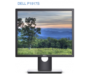 LCD RN 19' DELL P1917S Vuông Box Renew (IPS - VGA, HDMI, DP, 1280x1024, 60Hz, Kèm cáp VGA, Treo tường, Chuyên đồ họa)