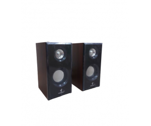 Loa 2.0 GOLDENUTRA CAIXA DESOM GT-PCX2 (Kết nối USB)
