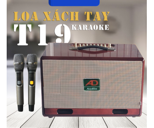 Loa Karaoke Bluetooth AD T19