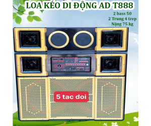 Loa Karaoke Bluetooth AD T888