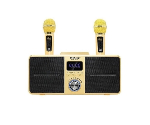 Loa Karaoke Bluetooth SDRD SD-309 Gold (5W, USB, Có khe thẻ nhớ, FM, Có Led, Kèm 2 mic)
