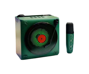 Loa Karaoke Bluetooth SDRD SD-507 Arm green (10W, USB, AUX, Có Led, kèm 2 micro)