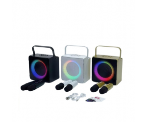 Loa Karaoke Bluetooth SDRD SD-508 Gold (10W, USB, AUX, Có led, kèm 2 micro)