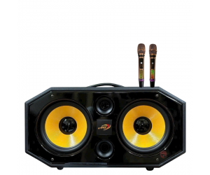 Loa Karaoke Bluetooth T600 (54*29*34mm, Công suất 580W, 02 Micro ko dây)