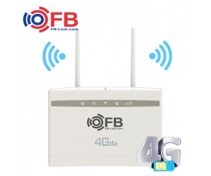 Router Wifi 4G LTE FB-Link CPE-V01 (2 anten, chuyên dùng xe khách, 32 user, 3LAN)