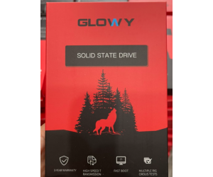 SSD 120G GLOWAY Chính hãng 