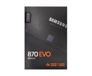 SSD 250G SAMSUNG 870 EVO Công ty