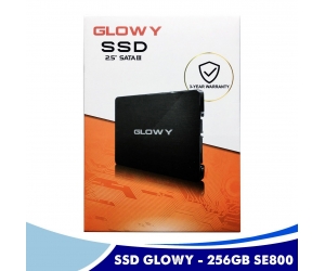 SSD 256G GLOWAY Chính hãng