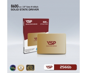 SSD 256G VSPTECH 860G (Vỏ nhôm Gold - 560/470MBs) Chính hãng
