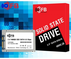 SSD 480G FB-LINK HM300 Chính hãng (THAY THẾ CHO 480G KINGTON SUV500 , 480G MIXZA TẠM HẾT)