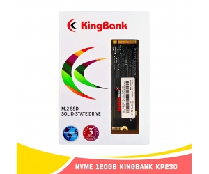  SSD M.2 PCIe 120G KINGBANK KP230 NVMe Gen3x4 Chính hãng