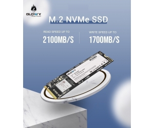 SSD M.2 PCIe 256G GLOWAY Chính hãng