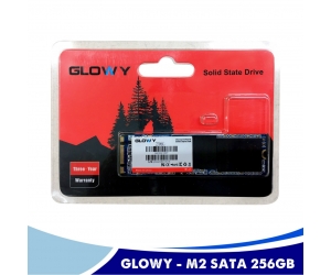 SSD M.2 Sata 256G GLOWAY Chính hãng