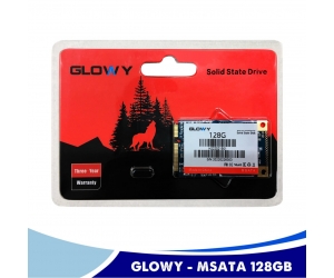 SSD MSata 128G GLOWAY Chính hãng