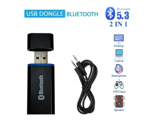 Usb Bluetooth Dongle 2IN1 5.3 (chỉ dùng cho loa) 